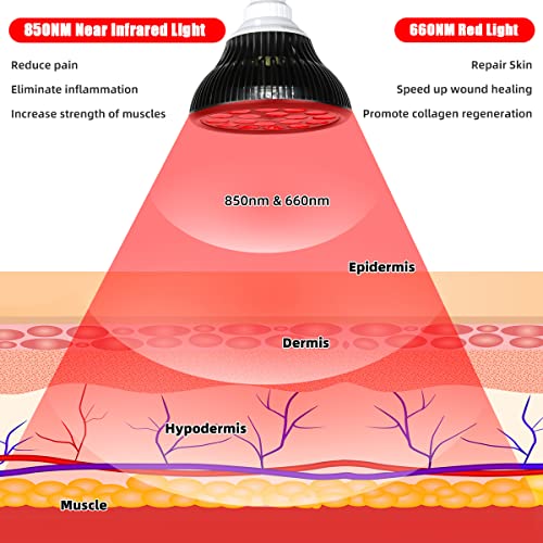 Naviocean Infrared Red Light Therapy Lamp with Stand 38"-79" Adjustable Heigh...
