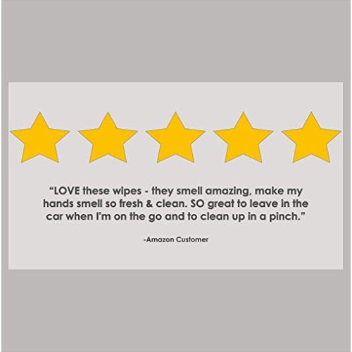 NEATwipes Hand Sanitizing Wipes, Lavender Essential Oil | Disposable, Biodegr...