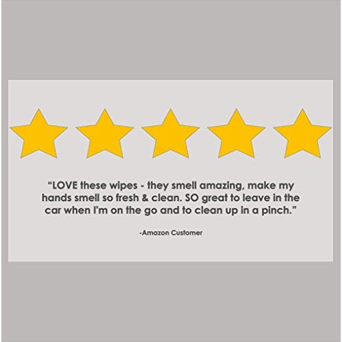 NEATwipes Hand Sanitizing Wipes, Lavender Essential Oil | Disposable, Biodegr...