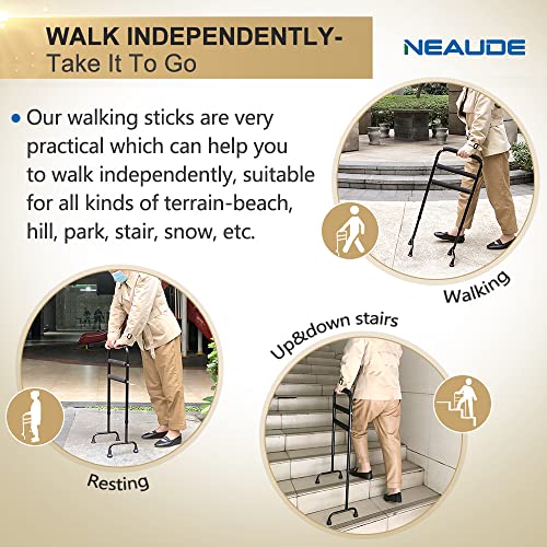Stand Assist Walking Cane for Men Women Canes with Quad Base Stair Lifts for ...