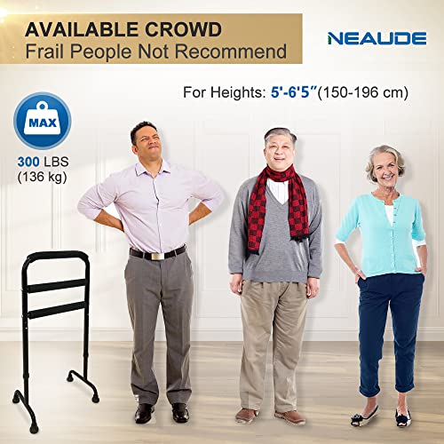 Stand Assist Walking Cane for Men Women Canes with Quad Base Stair Lifts for ...
