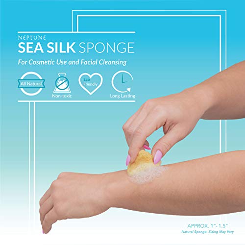 Neptune Natural Sea Soft Silk Sponge - for Cosmetic Use, Art, Facial Cleansin...