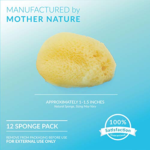 Neptune Natural Sea Soft Silk Sponge - for Cosmetic Use, Art, Facial Cleansin...
