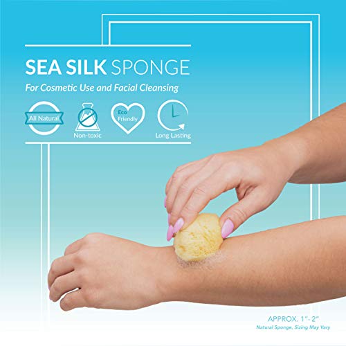 Neptune Natural Sea Soft Silk Sponge - for Cosmetic Use, Facial Cleansing 6pk...