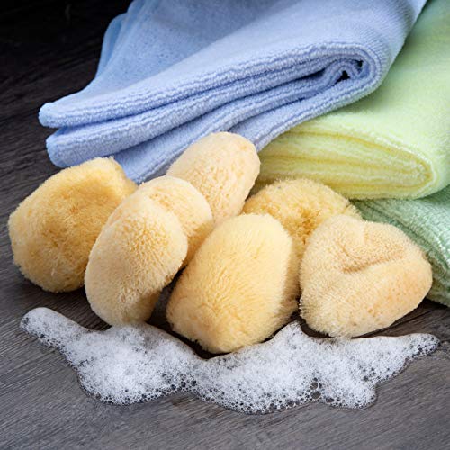 Neptune Natural Sea Soft Silk Sponge - for Cosmetic Use, Facial Cleansing 6pk...