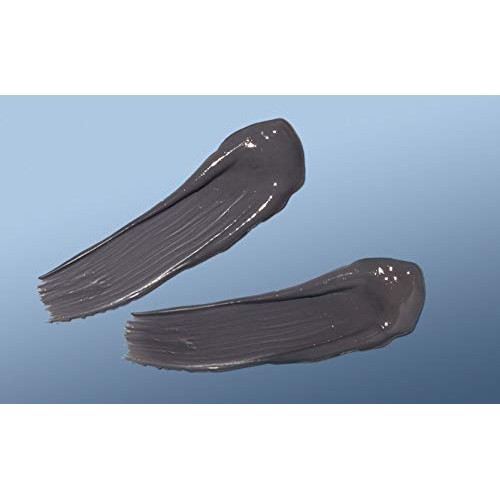 New York Biology Dead Sea Mud Mask for Face and Body - Spa Quality Pore Reduc...