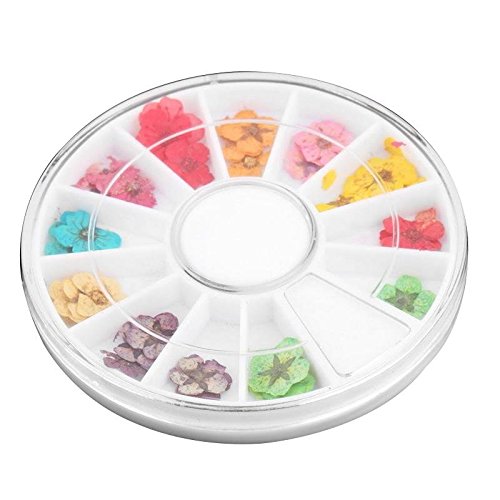 ROOMZOOM 1pcs x 12 Color Wheel Dried Dry Flower Nail Art Decorations set Acry...
