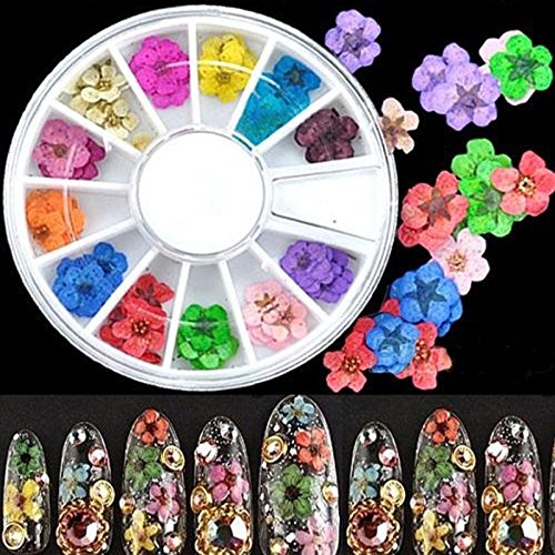 ROOMZOOM 1pcs x 12 Color Wheel Dried Dry Flower Nail Art Decorations set Acry...