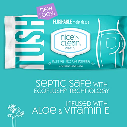 Nice 'N Clean Moist Flushable Wipes | Infused Aloe & Vitamin E | 42 Wipes (Pa...