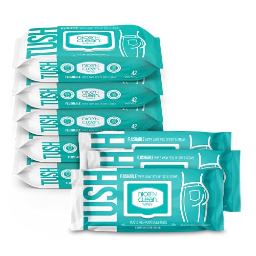 Nice 'N Clean Moist Flushable Wipes | Infused Aloe & Vitamin E | 42 Wipes (Pa...
