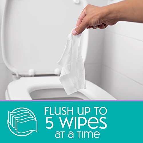 Nice 'N Clean SecureFLUSH Flushable Wipes 100% Biodegradable, Moist Toilet Ti...