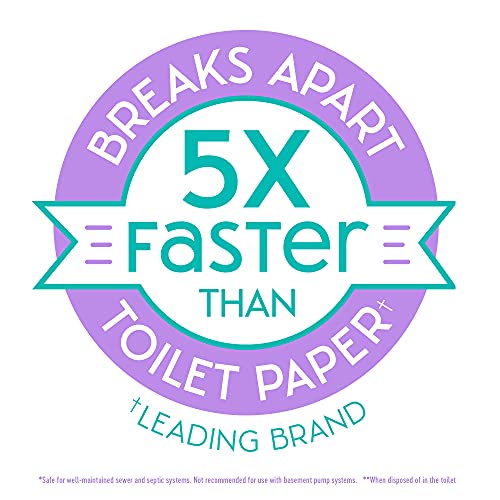 Nice 'N Clean SecureFLUSH Flushable Wipes 100% Biodegradable, Moist Toilet Ti...