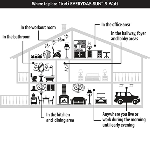 NorbEVERYDAYSUN Full Spectrum Light Bulb with Sun-Mimicking Technology for En...