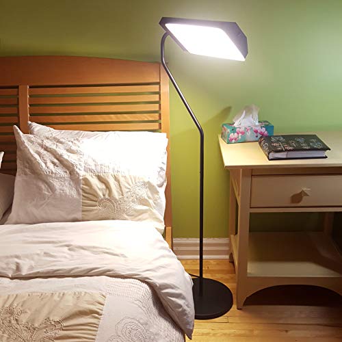 Northern Light Technologies Flamingo 10,000 Lux Bright Light Therapy Floor La...
