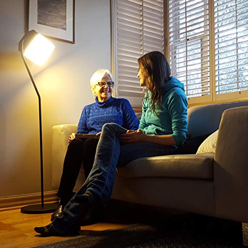 Northern Light Technologies Flamingo 10,000 Lux Bright Light Therapy Floor La...