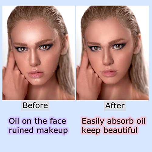 Oil Absorbing Volcanic Face Roller with Makeup Sponge, Oil Control on The Go ...