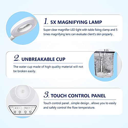 2 in 1 Facial Steamer With 5X Magnifying Lamp For Salon Spa Beauty