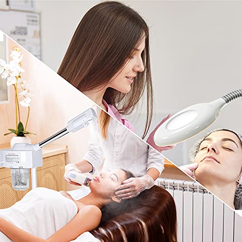 2 in 1 Facial Steamer With 5X Magnifying Lamp For Salon Spa Beauty