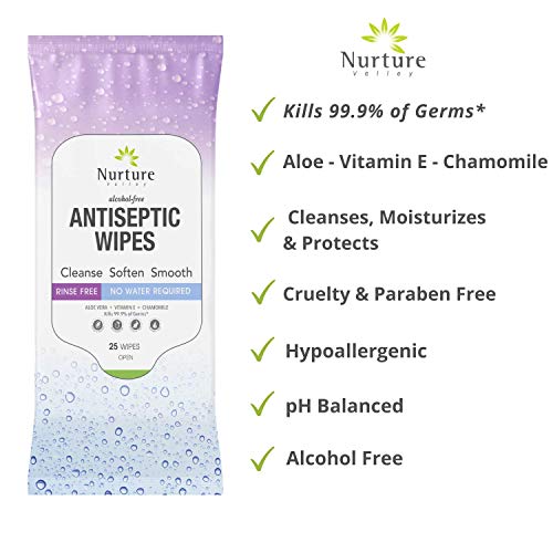 Antibacterial Hand & Body Sanitizing Bathing Wipes (10 Pack) | 250 Large Alco...