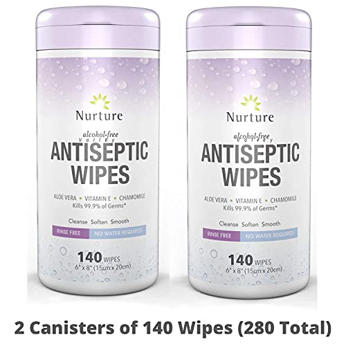 "Antibacterial Hand & Body Sanitizing Bathing Wipes (2 Canisters) | 280 Large...