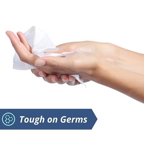 Antibacterial Hand & Body Sanitizing Bathing Wipes (5 Pack) | 300 Large Alcoh...