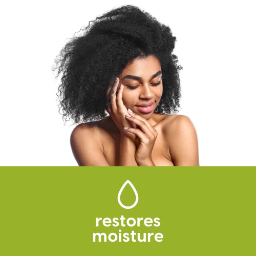 NutraBlast Tea Tree Oil Suppositories (12 Count) | All Natural Intimate Deodo...