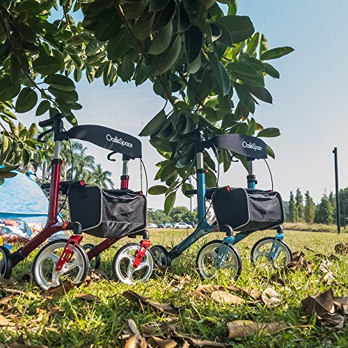 OasisSpace Aluminum Rollator Walker with Seat, Folding Rollator Walker with 1...