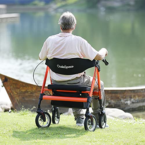 OasisSpace Heavy Duty Rollator Walker - Pneumatic Rollator Walker with Large ...