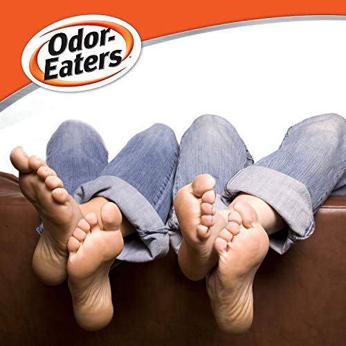 Odor-Eaters Foot Powder, 6 Oz, Pack of 4
