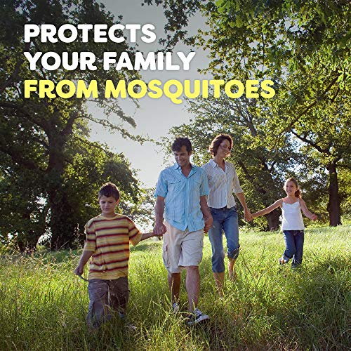 OFF! Family Care Insect & Mosquito Repellent I, Smooth & Dry Bug Spray for th...