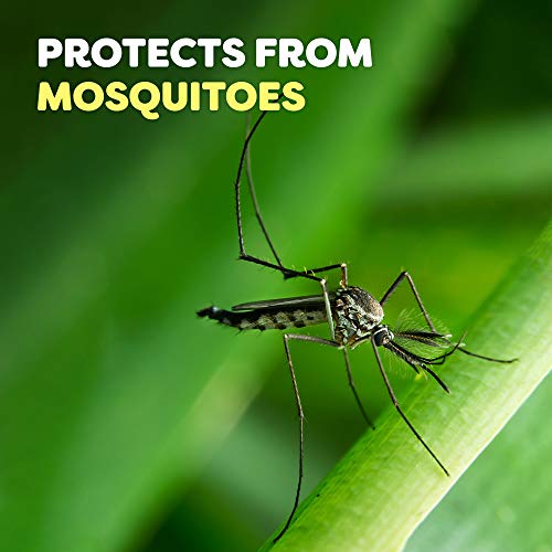OFF! FamilyCare Bug Spray & Mosquito Repellent, Unscented with Aloe-Vera, 7% ...