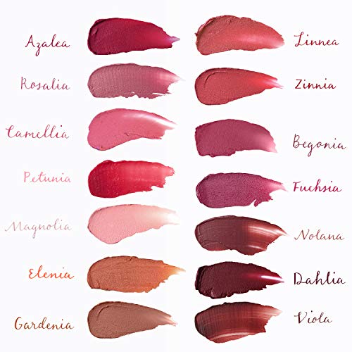 Ogee Tinted Sculpted Lip Oil - Made with 100% Organic Coconut Oil, Jojoba Oil...