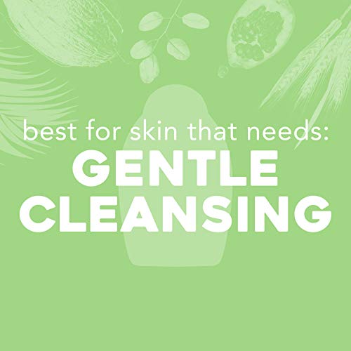 OGX Pink sea salt & rosewater gentle soothing body scrub, 19.5 Ounce, 1.0 Count