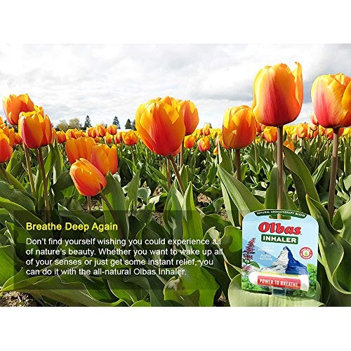 Olbas Inhaler, Pocket Size - 285 mg., 1 pc.