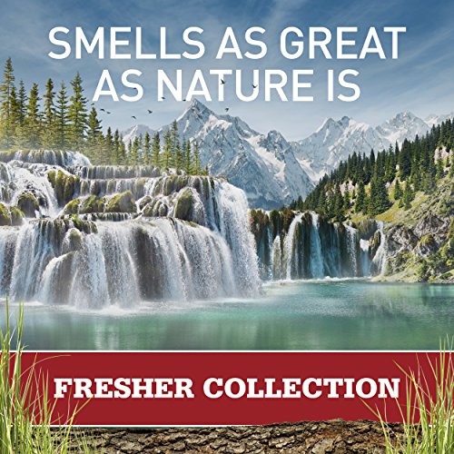 Old Spice Antiperspirant and Deodorant for Men, Fiji with Palm Tree Scent, 2....