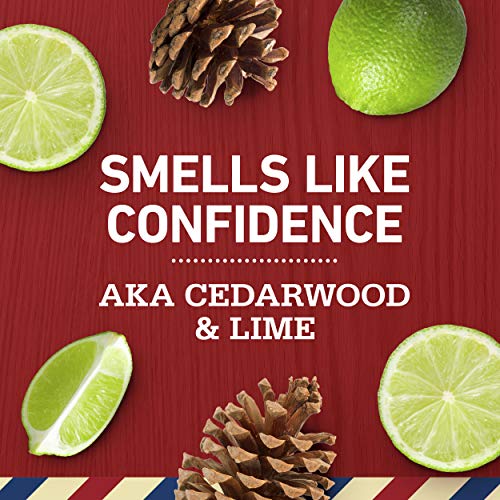 Old Spice Swagger 2-in-1 Shampoo and Conditioner for Men 29.2 Each Twin Pack,...