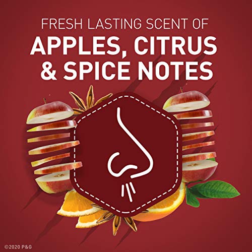 Old Spice Wild Bearglove Scent Body Wash for Men, 30 Fl Oz (Pack of 4)