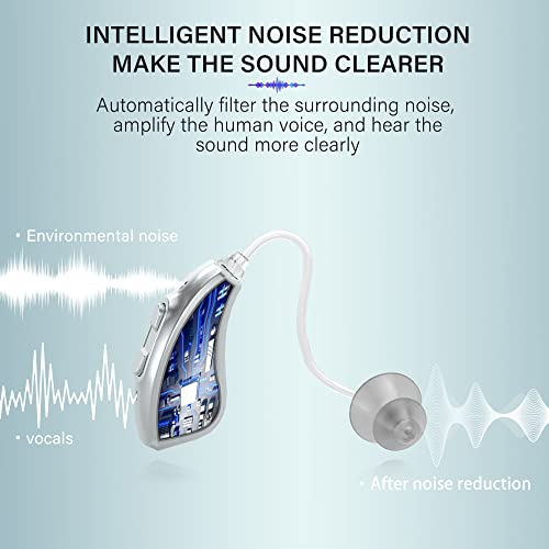 Onebridge Hearing aids, Upgraded Rechargeable Hearing Aids for Seniors, Sound...