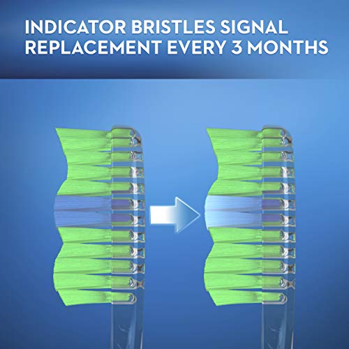 Oral-B Indicator Color Collection Manual Toothbrush, Soft, 2 Count