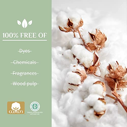 Organyc 100% Certified Organic Cotton Swabs - No Man-Made Materials, 200 Coun...