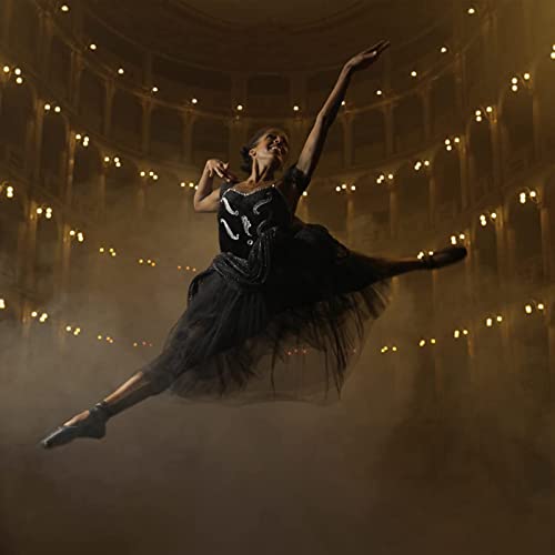 Organyc 100% Certified Organic Cotton Tampons, Cardboard Applicator, Free fro...