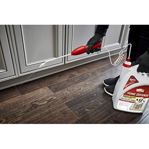 Ortho Home Defense Insect Killer for Indoor & Perimeter2 (with Comfort Wand),...