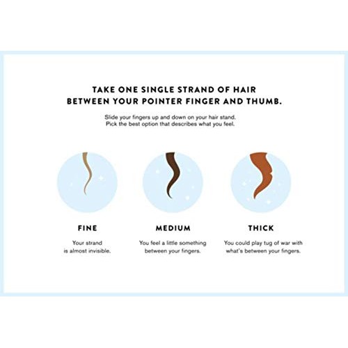 OUAI Fine Shampoo + Conditioner Set. Free from Sulfates. 10 oz Each.