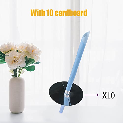 Ear Wax Removal Tool 10 Pcs Kit