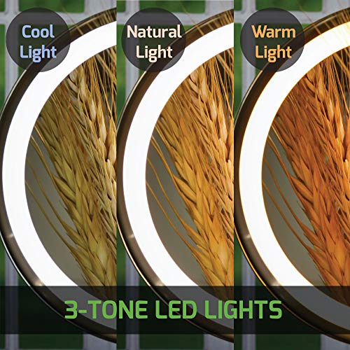 Ovente 8" Tabletop Lighted Makeup Mirror, 1X & 5X Magnifier, Double Sided Rou...