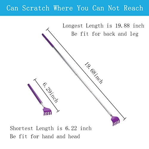 Portable Extendable Back Scratcher, RUTAI Telescoping Scratcher Tetractable C...