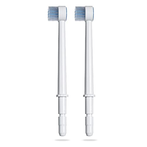 TB100E Replacement Toothbrush Tips for Waterpik Dental Water Jet WP100 WP300 ...