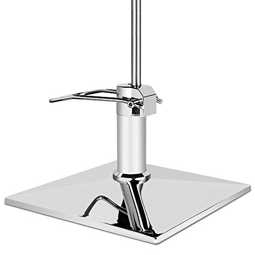 Paddie Salon Chair for Hair Stylist, Hydraulic Barber Chair Classic Styling B...