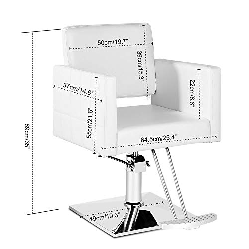 Paddie Salon Chair for Hair Stylist, Hydraulic Barber Chair Classic Styling B...