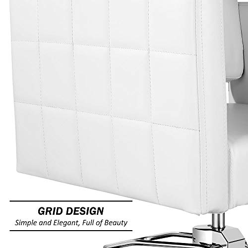 Paddie Salon Chair for Hair Stylist, Hydraulic Barber Chair Classic Styling B...